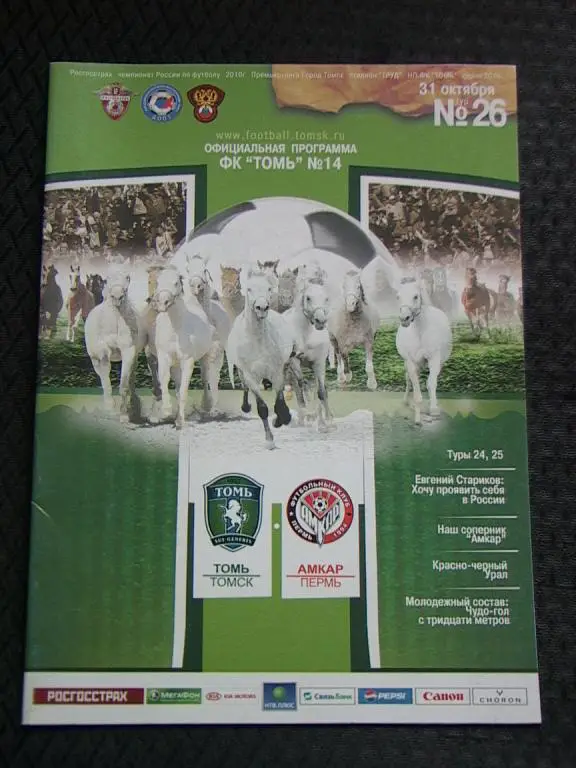 Томь Томск - Амкар Пермь 2010