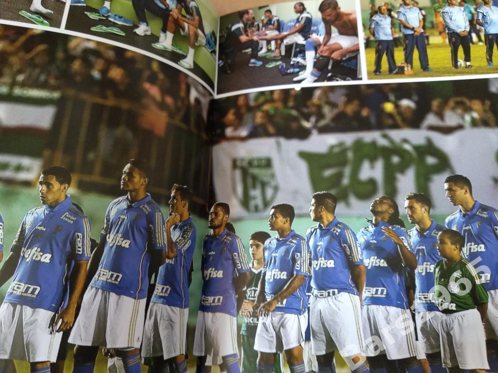 Футбольный клуб Палмейрас Palmeiras Бразилия фотоальбом 2