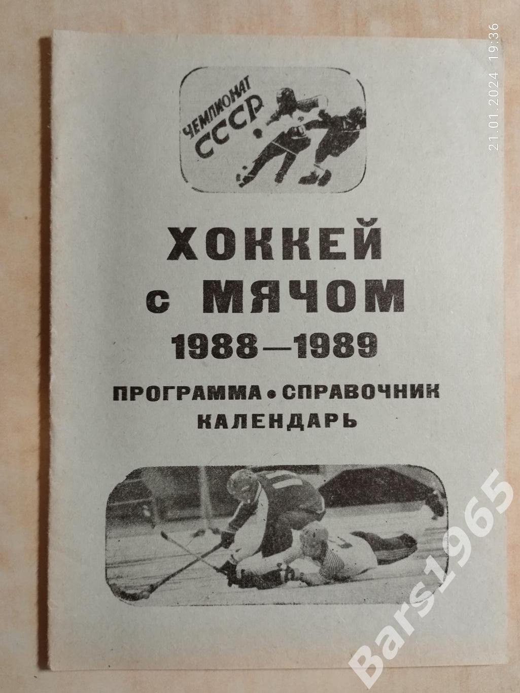 Калининград 1988-1989 Хоккей с мячом