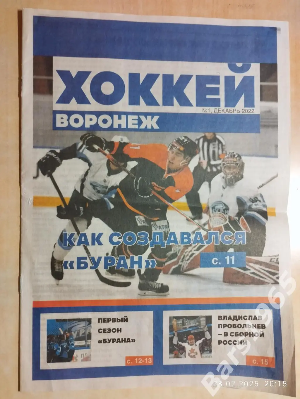 Хоккей Воронеж №1