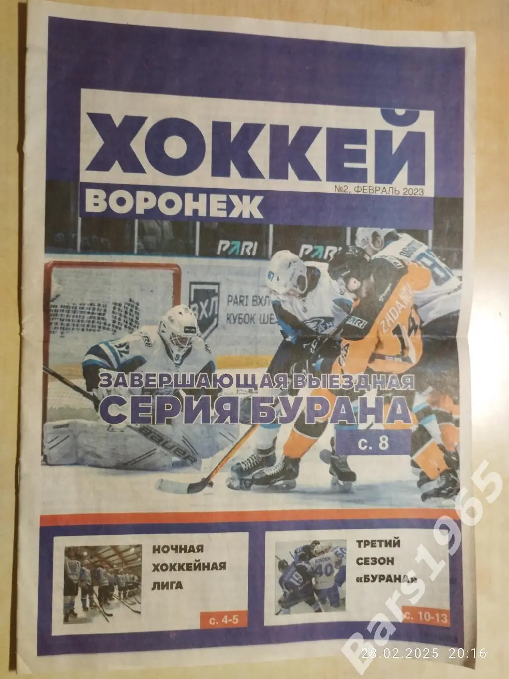 Хоккей Воронеж №2