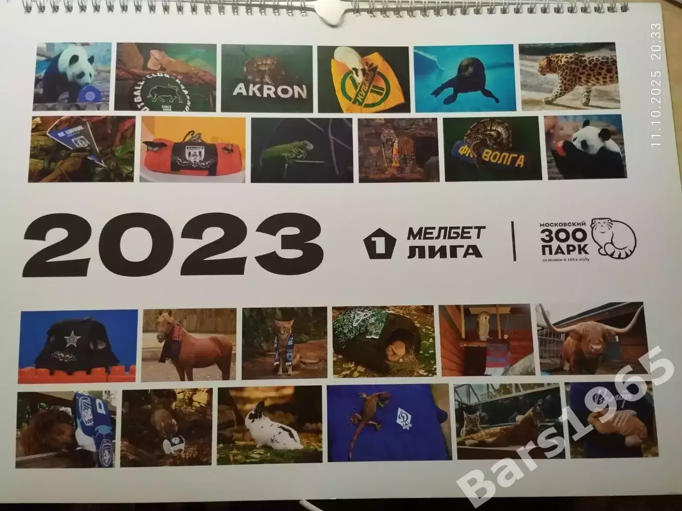 МЕЛБЕТ 1 лига 2023