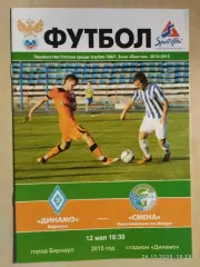 Динамо Барнаул - Смена Комсомольск-на-Амуре 2015