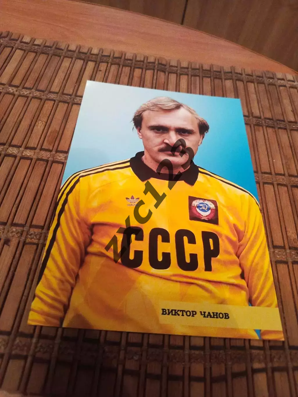 ВИКТОР ЧАНОВ (СССР)
