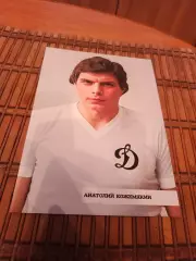 АНАТОЛИЙ КОЖЕМЯКИН (ДИНАМО МОСКВА)