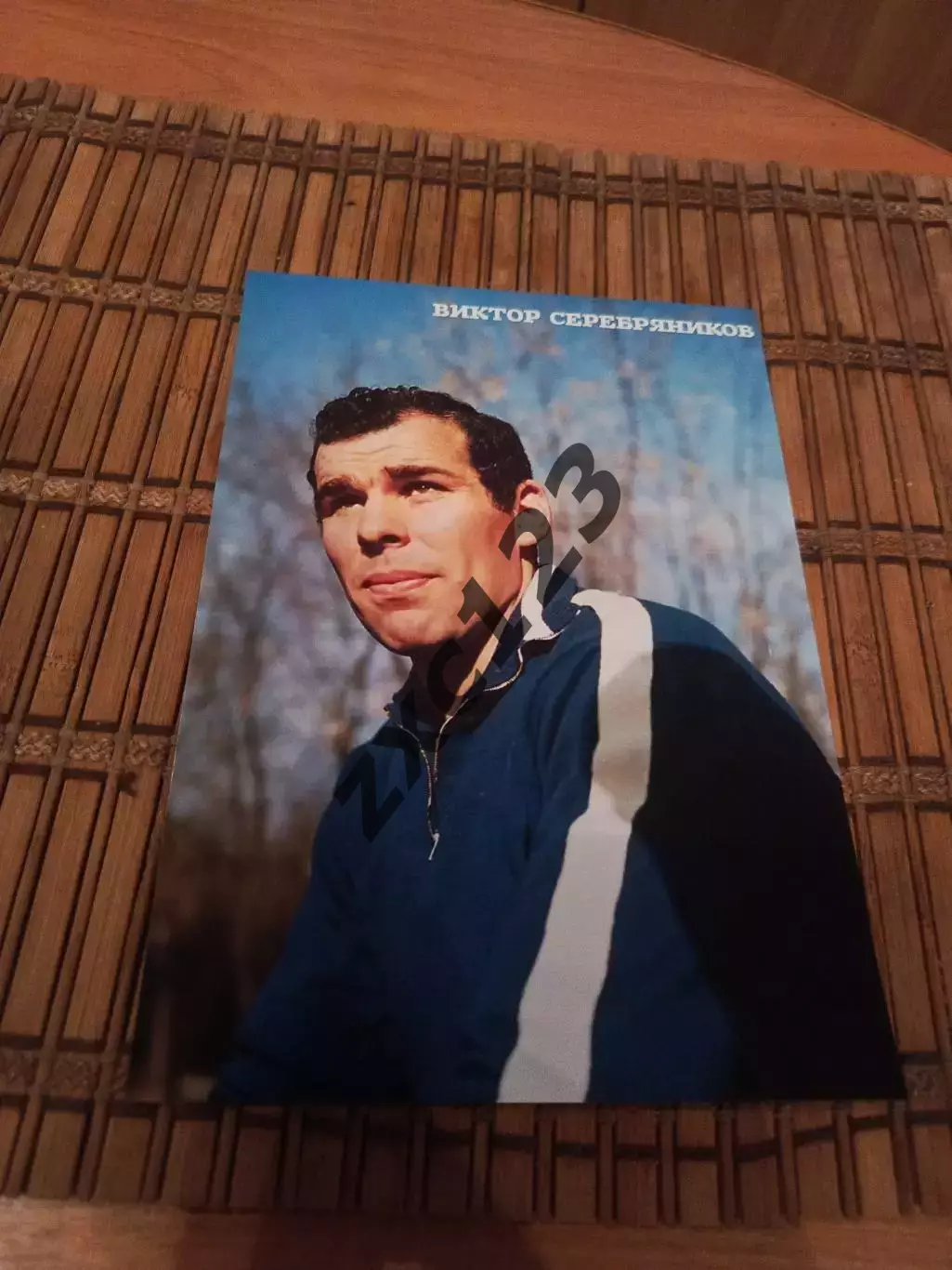 ВИКТОР СЕРЕБРЯНИКОВ