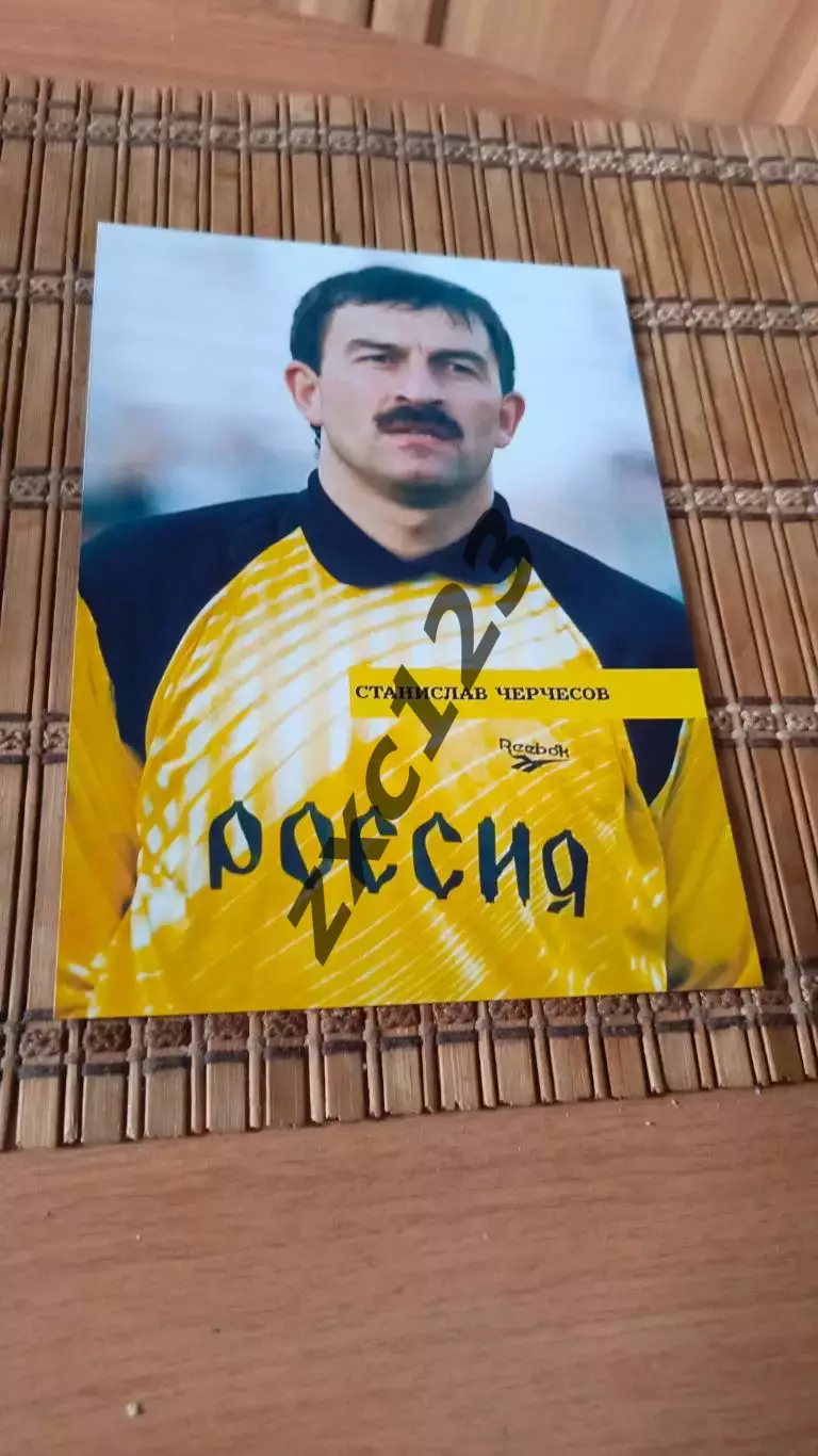 СТАНИСЛАВ ЧЕРЧЕСОВ###