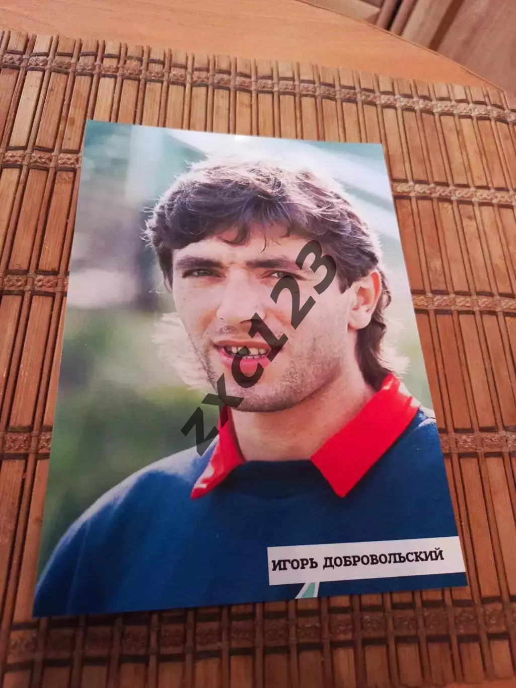 ИГОРЬ ДОБРОВОЛЬСКИЙ
