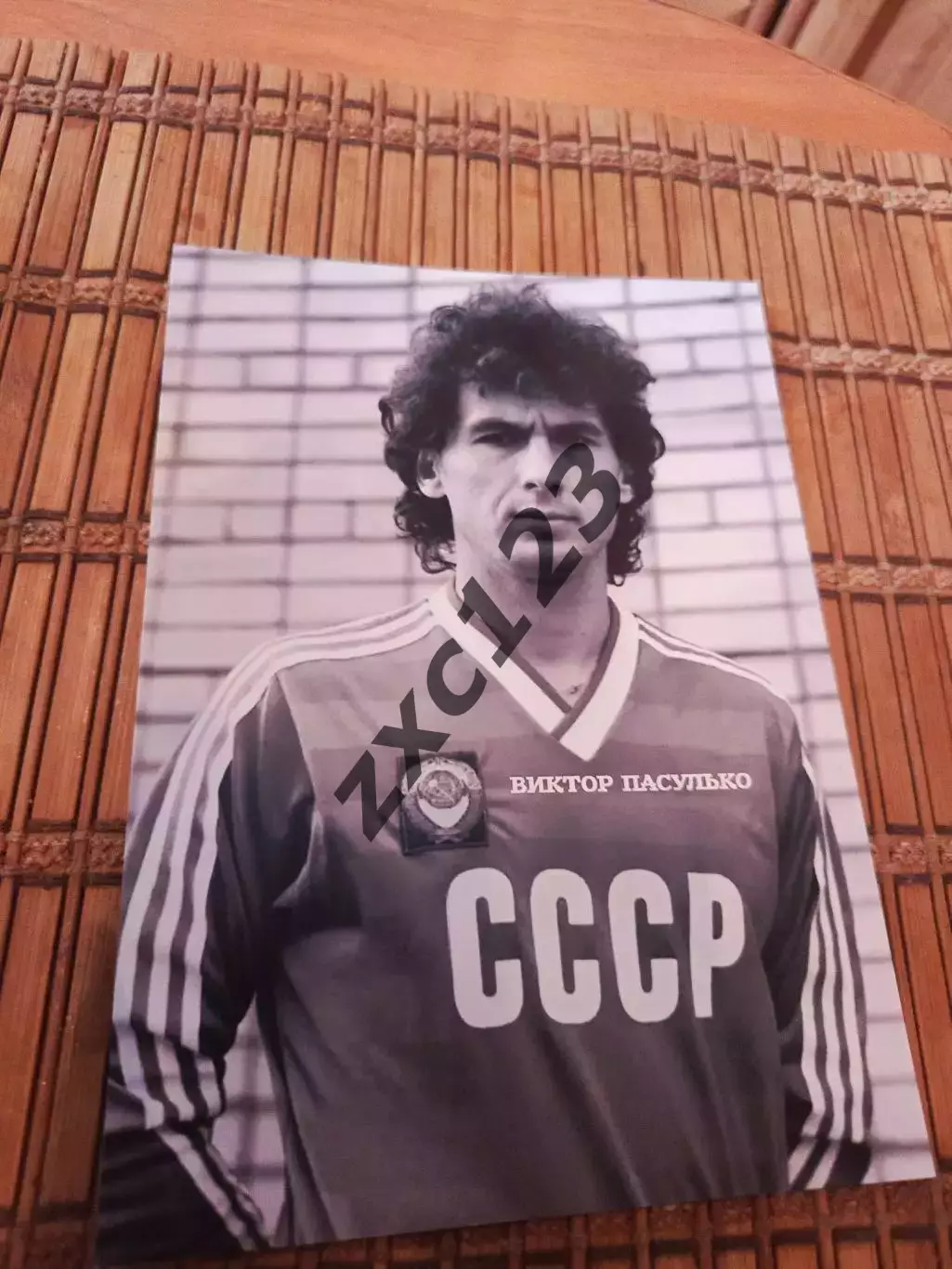 ВИКТОР ПАСУЛЬКО (СССР)