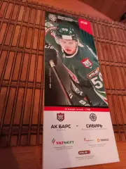 АК БАРС - СИБИРЬ 24 . 01.2026.