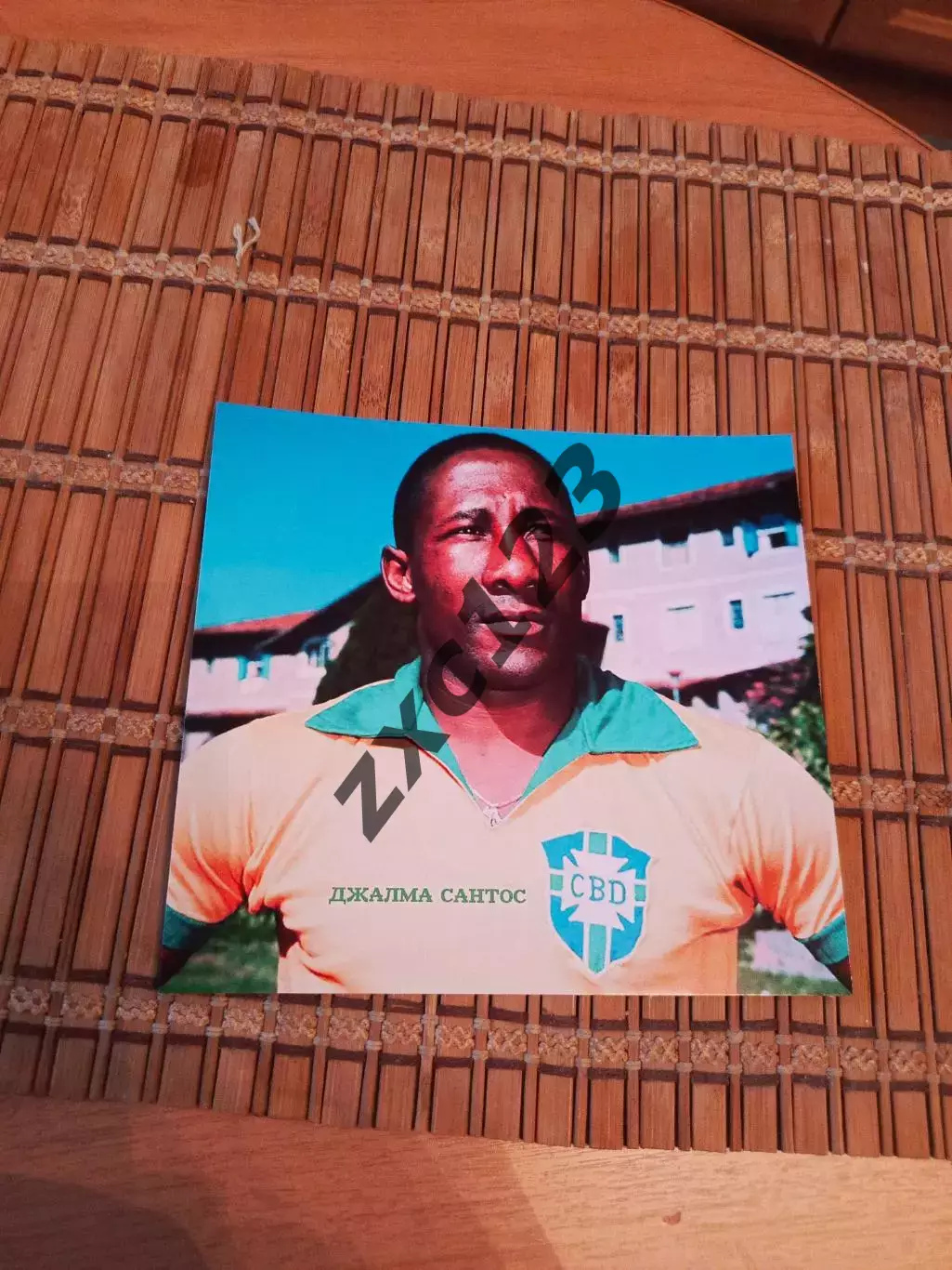 ДЖАЛМА САНТОС (БРАЗИЛИЯ)