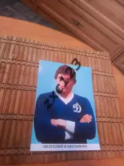 АНАТОЛИЙ КОЖЕМЯКИН (ДИНАМО МОСКВА)