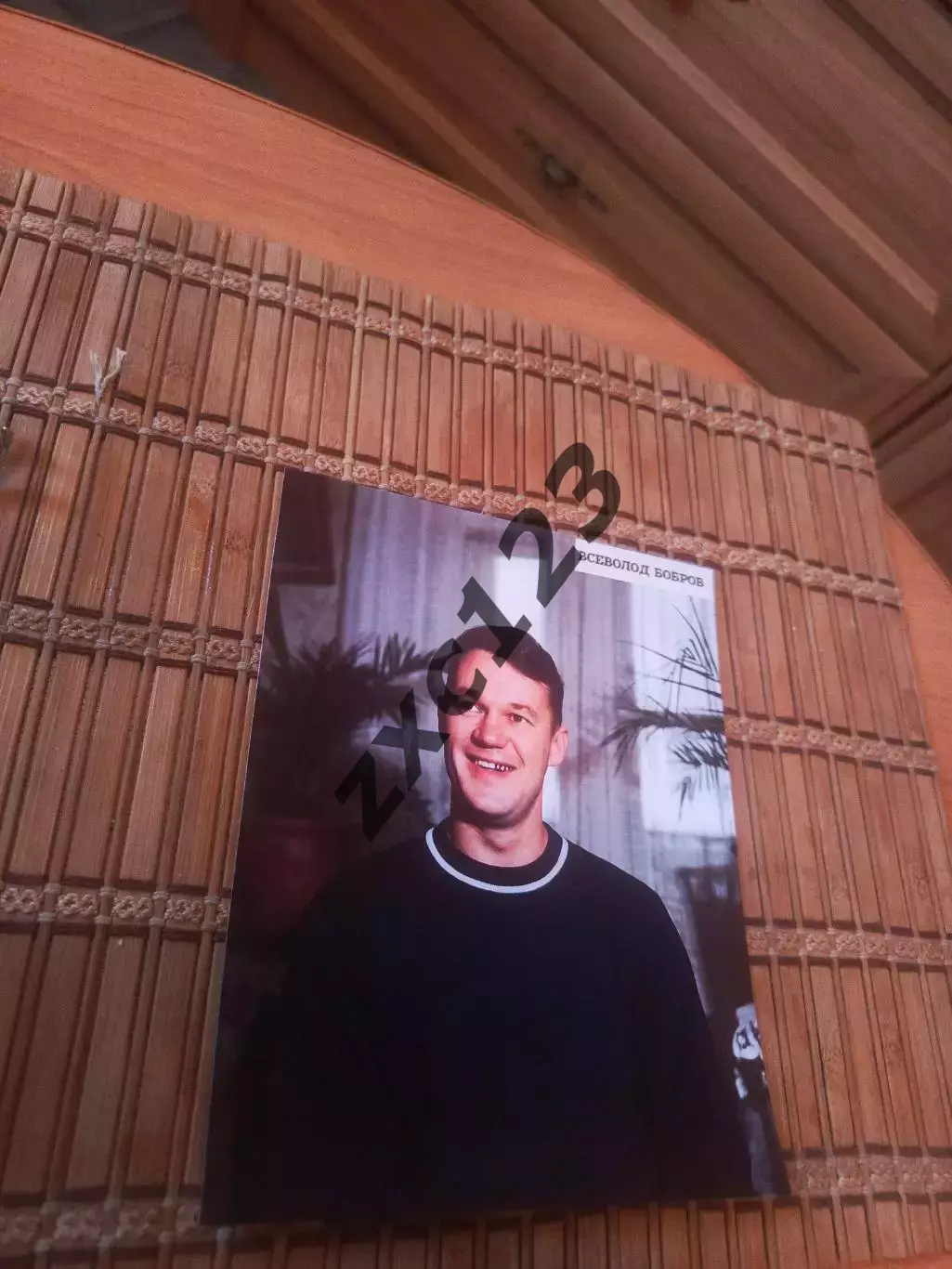 ВСЕВОЛОД БОБРОВ