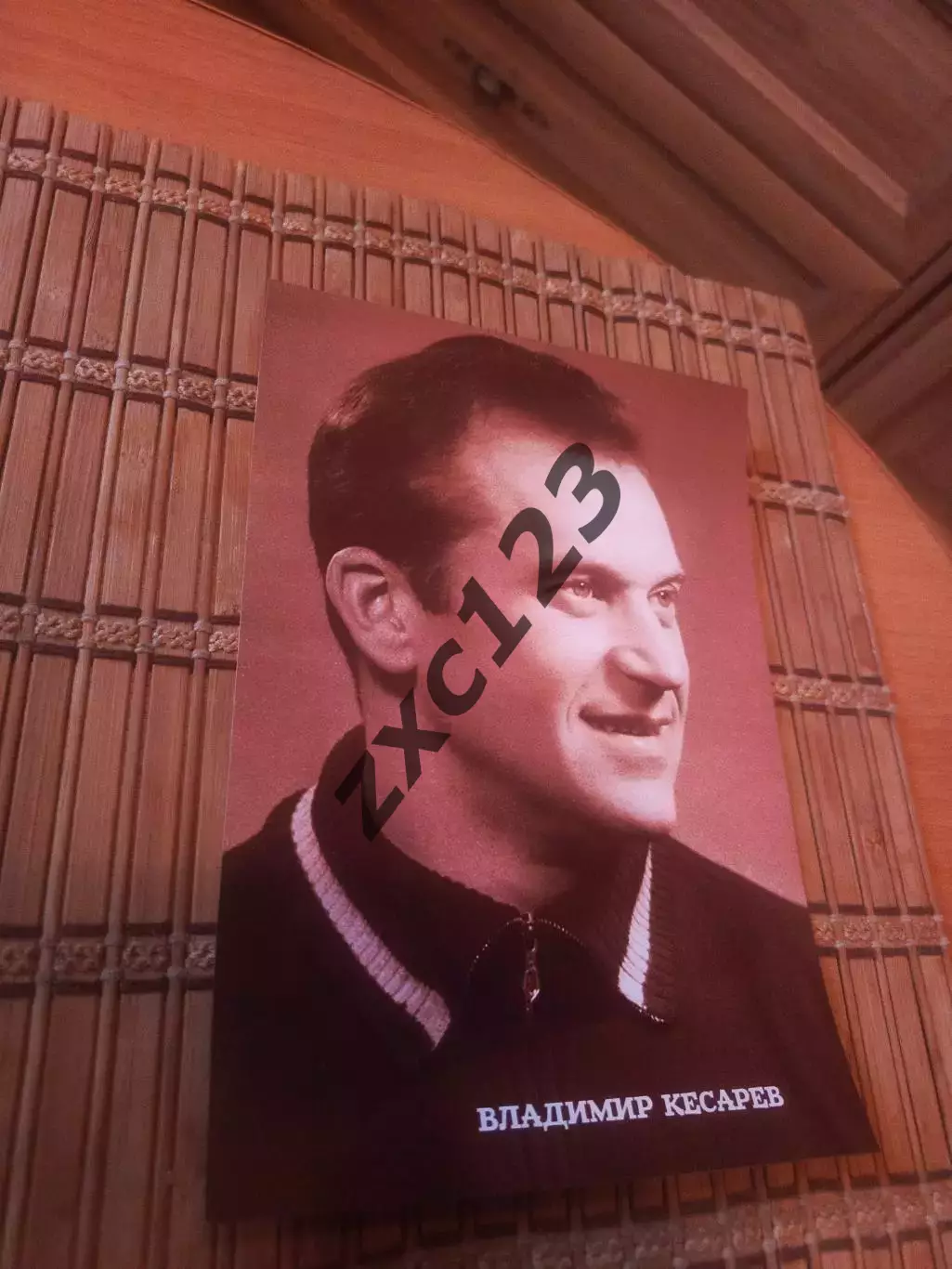 ВЛАДИМИР КЕСАРЕВ