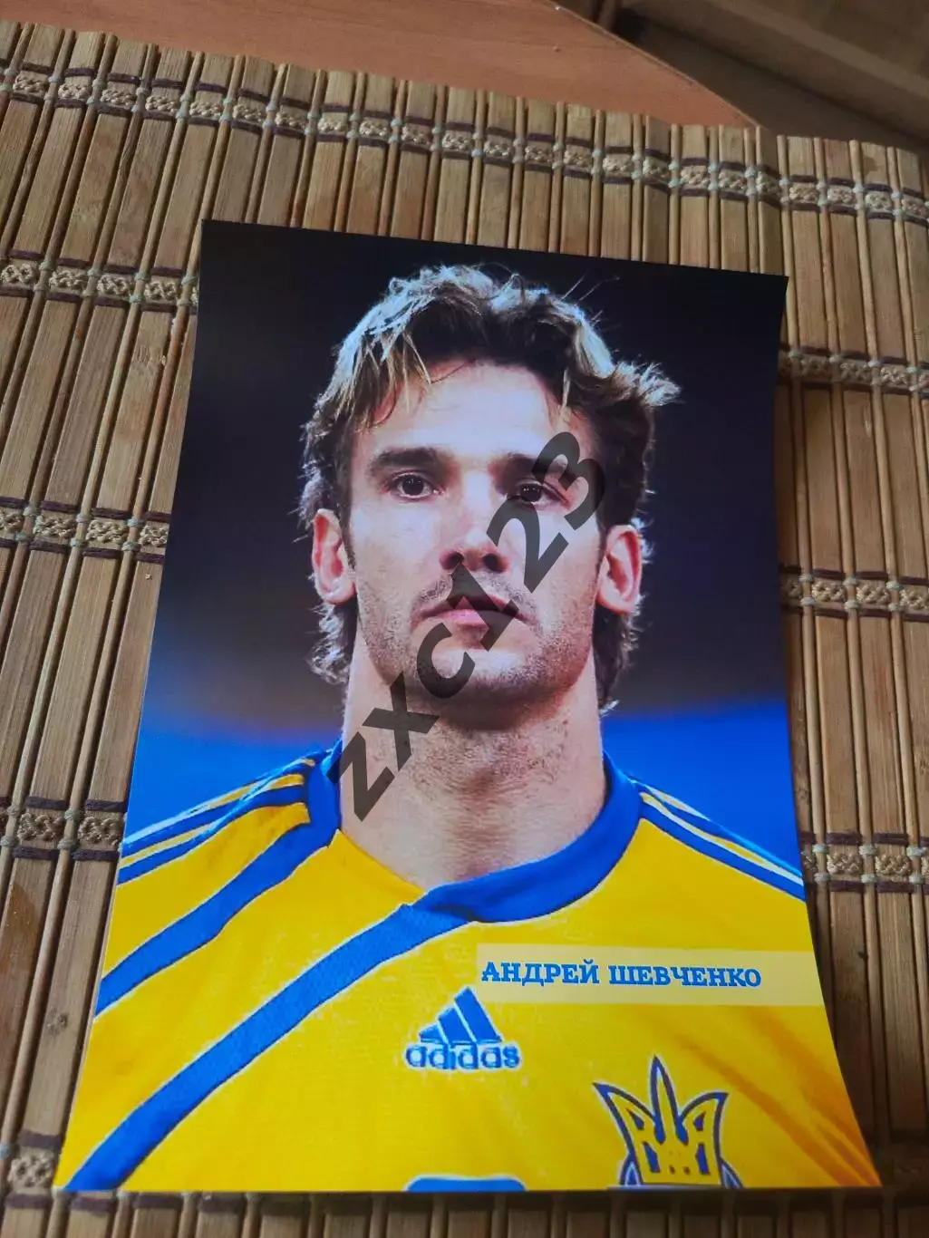 АНДРЕЙ ШЕВЧЕНКО (УКРАИНА)