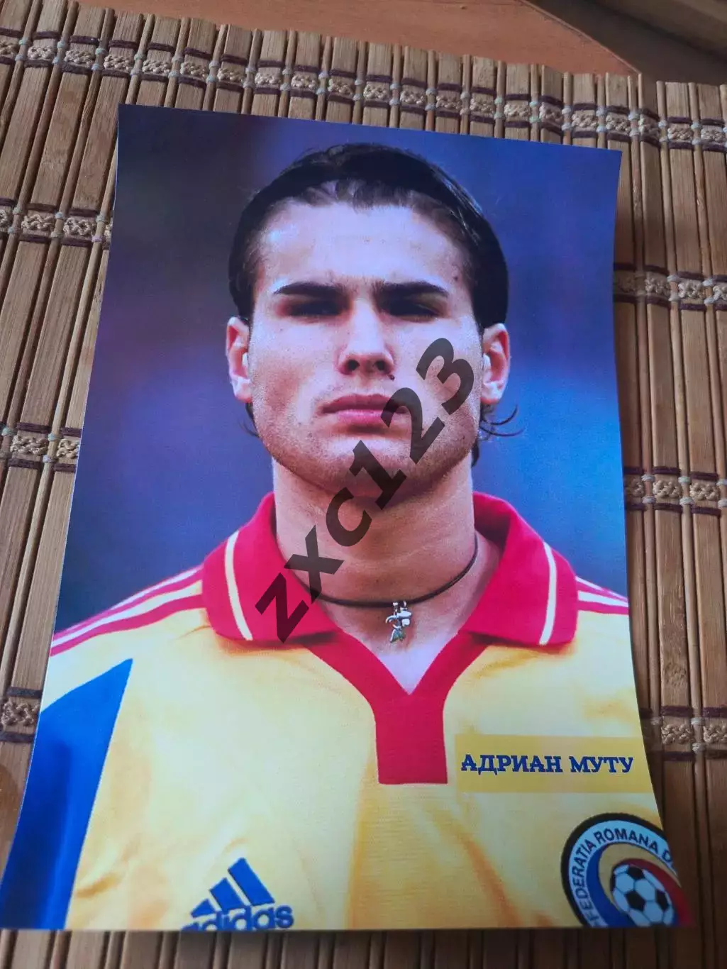 АДРИАН МУТУ (РУМЫНИЯ)