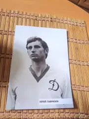 ЮРИЙ ГАВРИЛОВ (ДИНАМО МОСКВА)