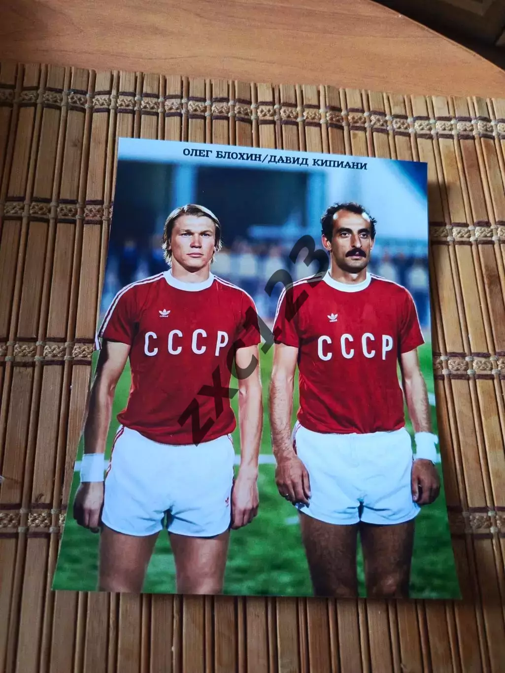 ОЛЕГ БЛОХИН (СССР)/ДАВИД КИПИАНИ