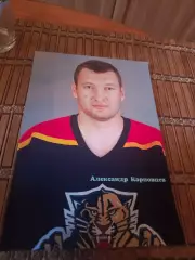 РАСПРОДАЖА!!!! АЛЕКСАНДР КАРПОВЦЕВ