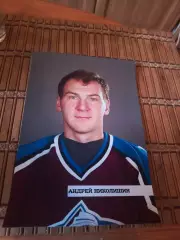 РАСПРОДАЖА!!!! АНДРЕЙ НИКОЛИШИН