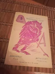 РАСПРОДАЖА!!!! АЭРОФЛОТ (ОМСК)- МЕТАЛЛУРГ РГ (НОВОКУЗНЕЦК) 3.01.1963