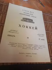 РАСПРОДАЖА!!!! ХИМИК ВОСКРЕСЕНСК - ДИНАМОМОСКВА 30.01.1993.