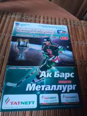 РАСПРОДАЖА!!! АК БАРС - МЕТАЛЛУРГ МАГНИТОГОРСК 23/24.03.2010.