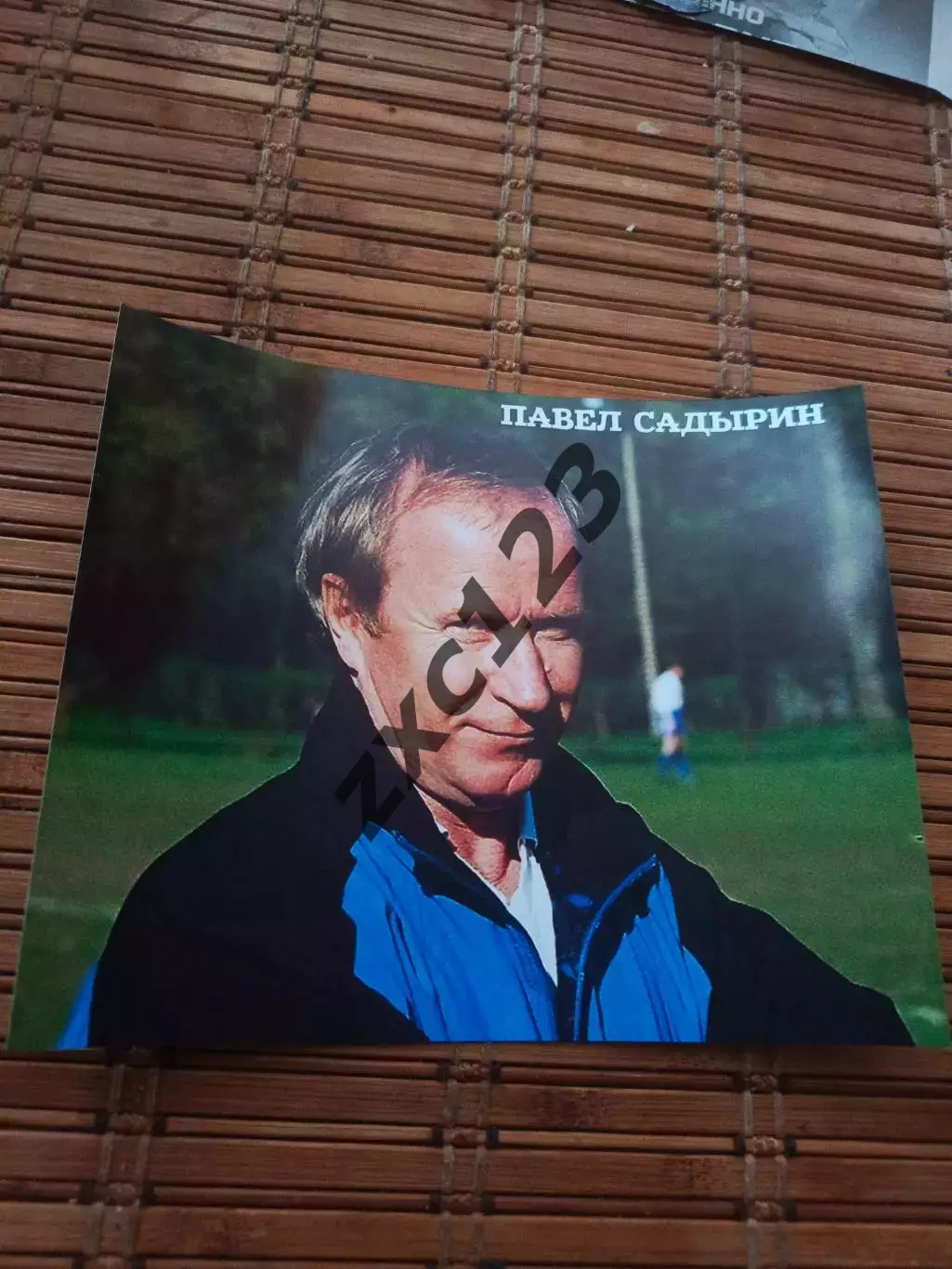 ПАВЕЛ САДЫРИН