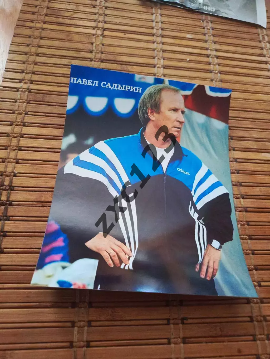 ПАВЕЛ САДЫРИН ##