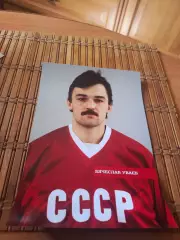 ВЯЧЕСЛАВ УВАЕВ