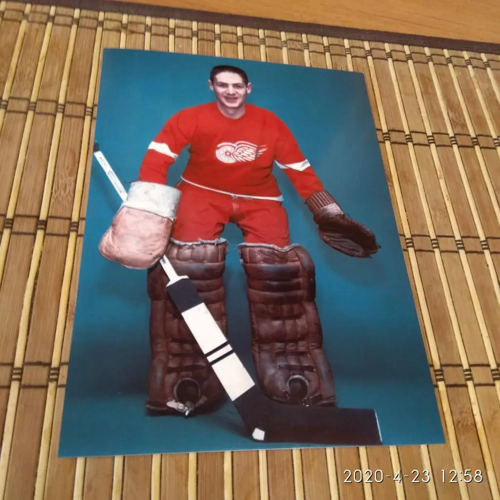 ТЕРРИ САВЧУК