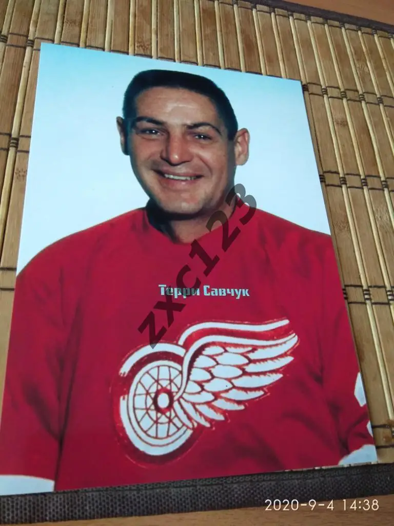 Терри Савчук (вратарь)