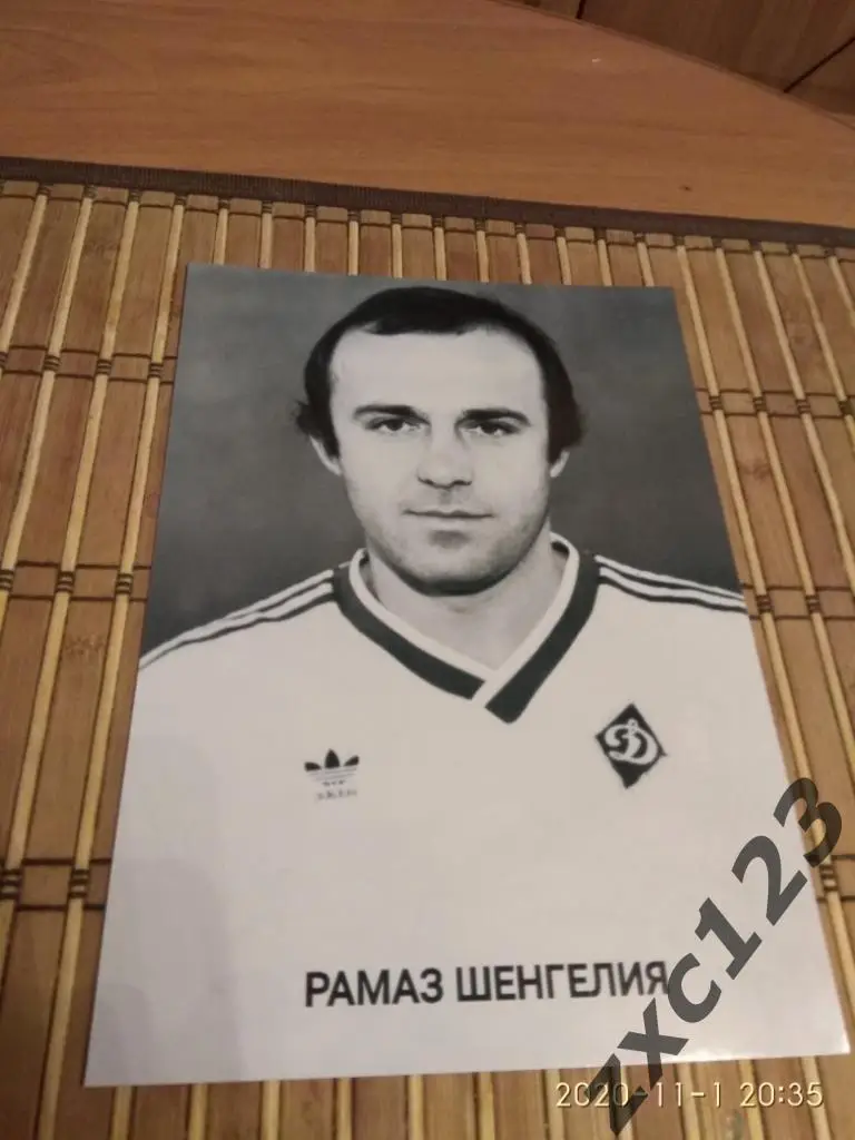 Рамаз Шенгелия