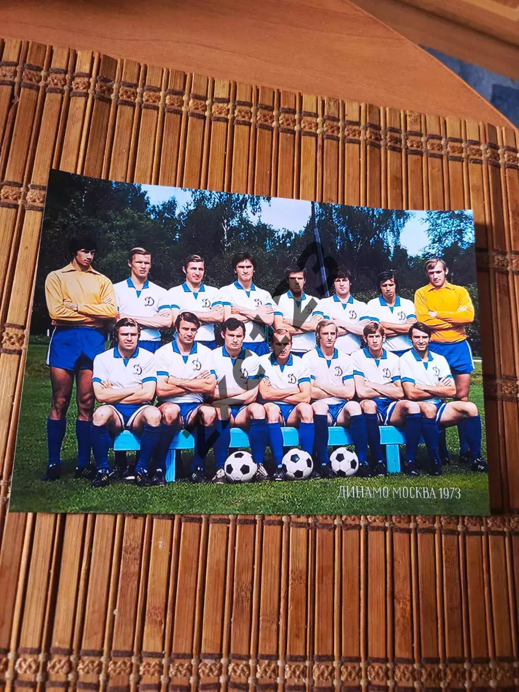 ДИНАМО МОСКВА 1973