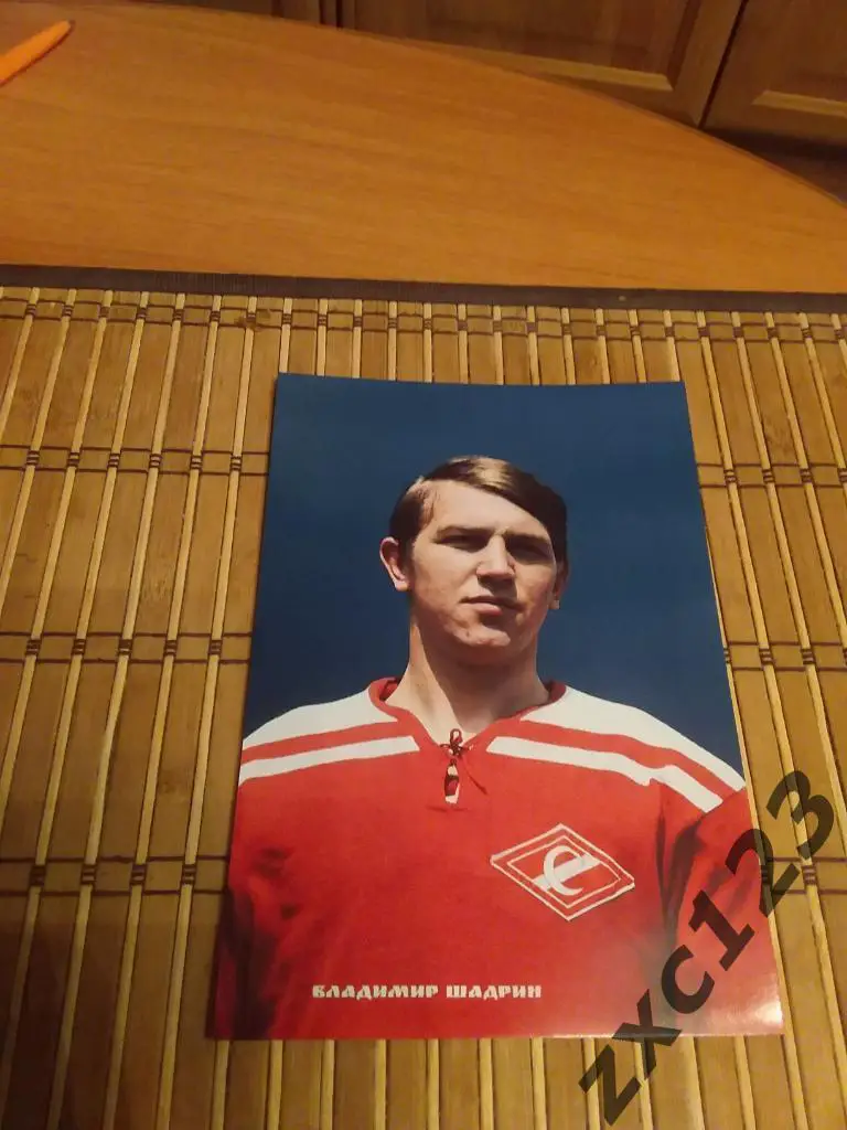 ВЛАДИМИР ШАДРИН