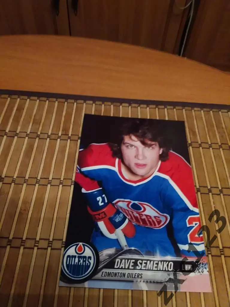 ДЭЙВ СЕМЕНКО (ЦЕМЕНТНАЯ ГОЛОВА) ТЕЛОХРАНИТЕЛЬ УЭЙНА ГРЕТЦКИ