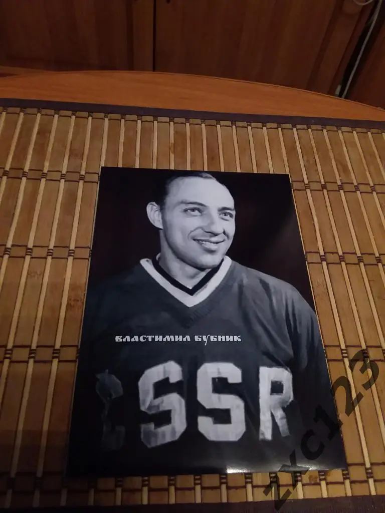 ВЛАСТИМИЛ БУБНИК (ЧССР)