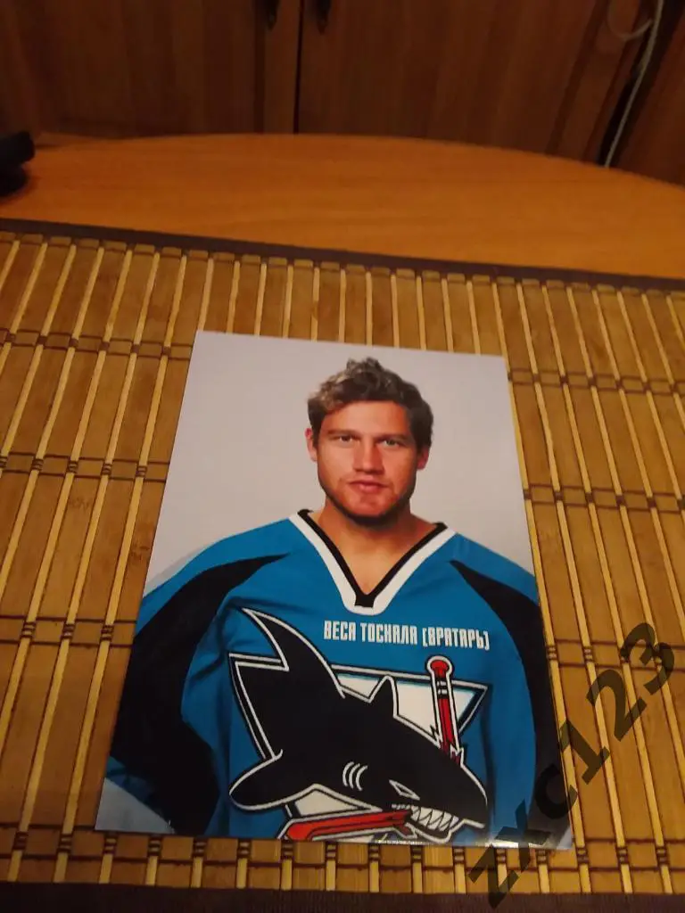 ВЕСА ТОСКАЛА (ВРАТАРЬ)