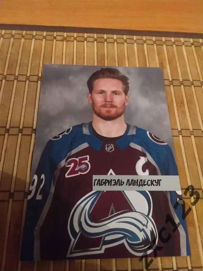 ГАБРИЭЛЬ ЛАНДЕСКУГ