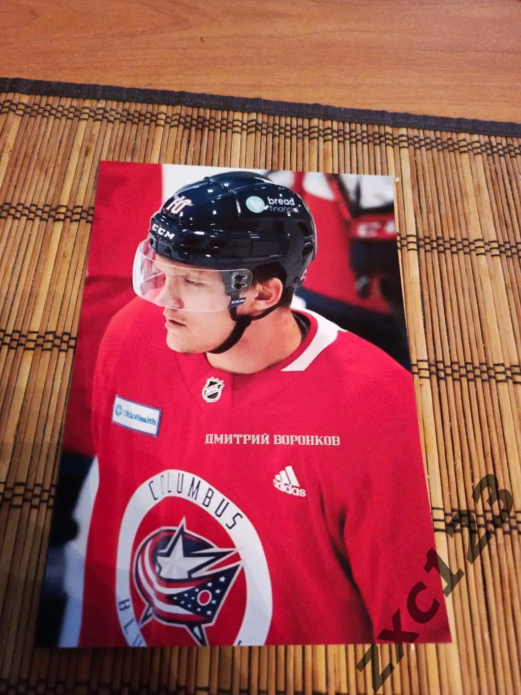 ДМИТРИЙ ВОРОНКОВ