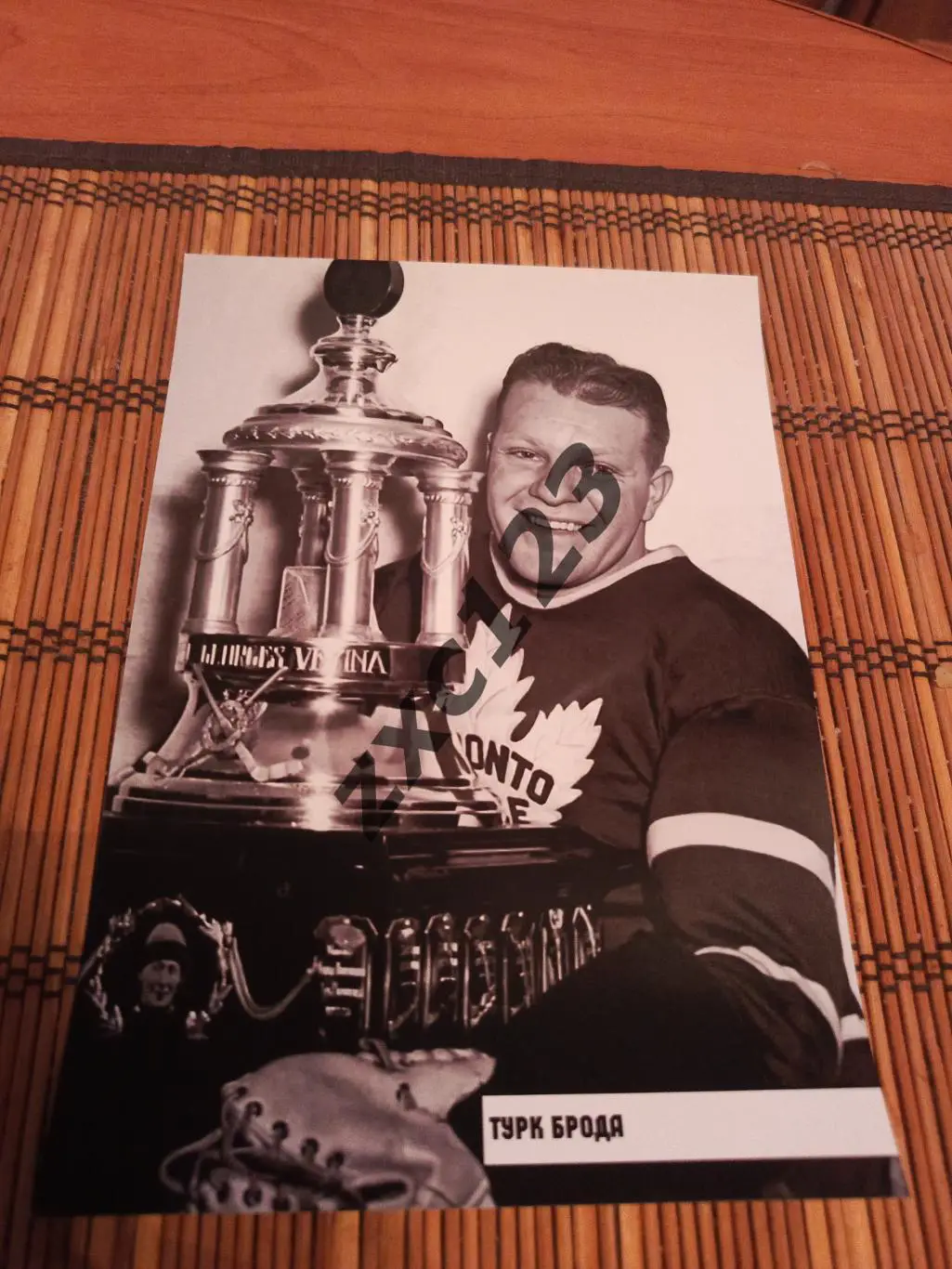 ТУРК БРОДА (ТОРОНТО)