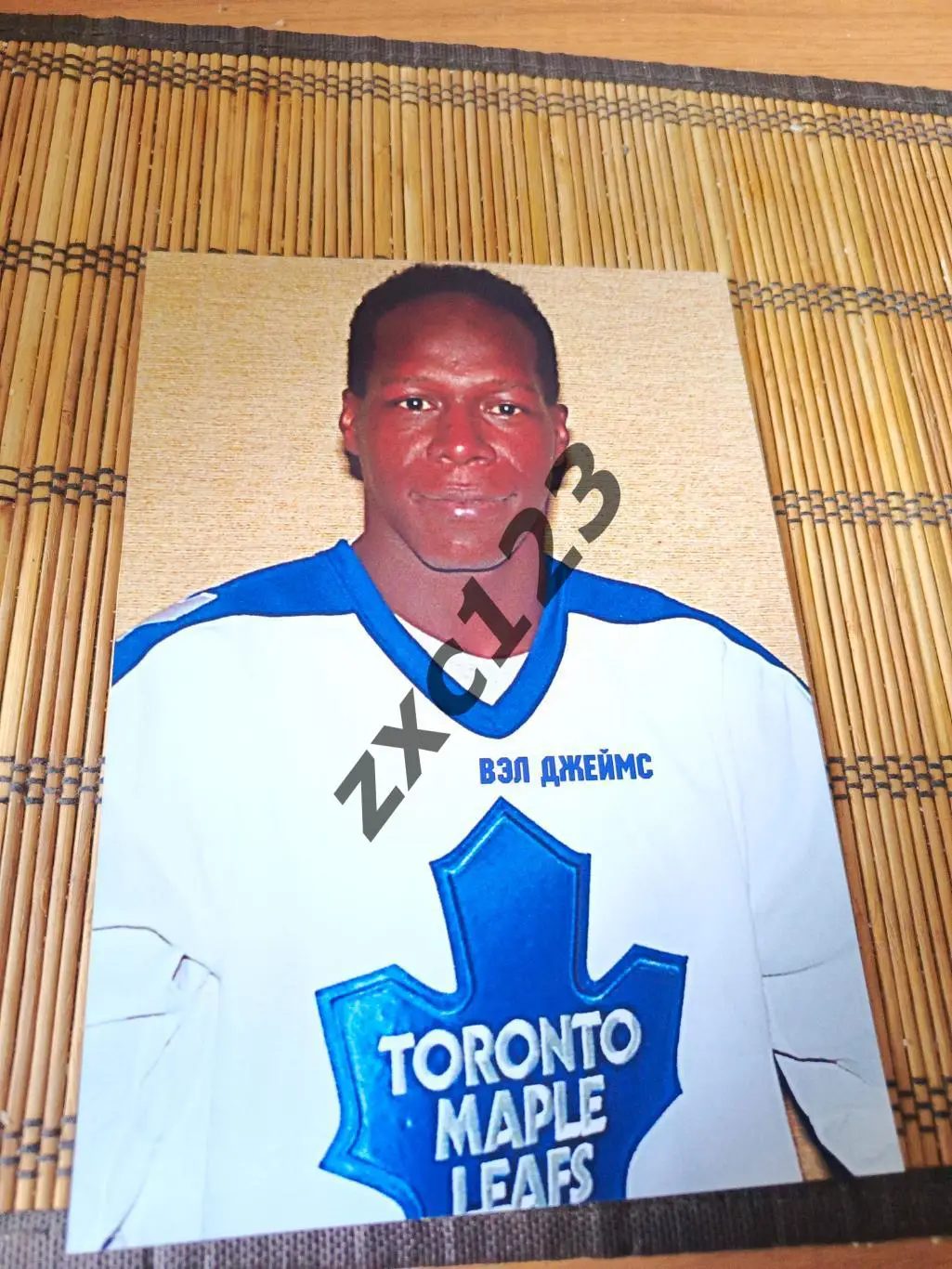 ВЭЛ ДЖЕЙМС (ТОРОНТО МЕЙПЛ ЛИФС)