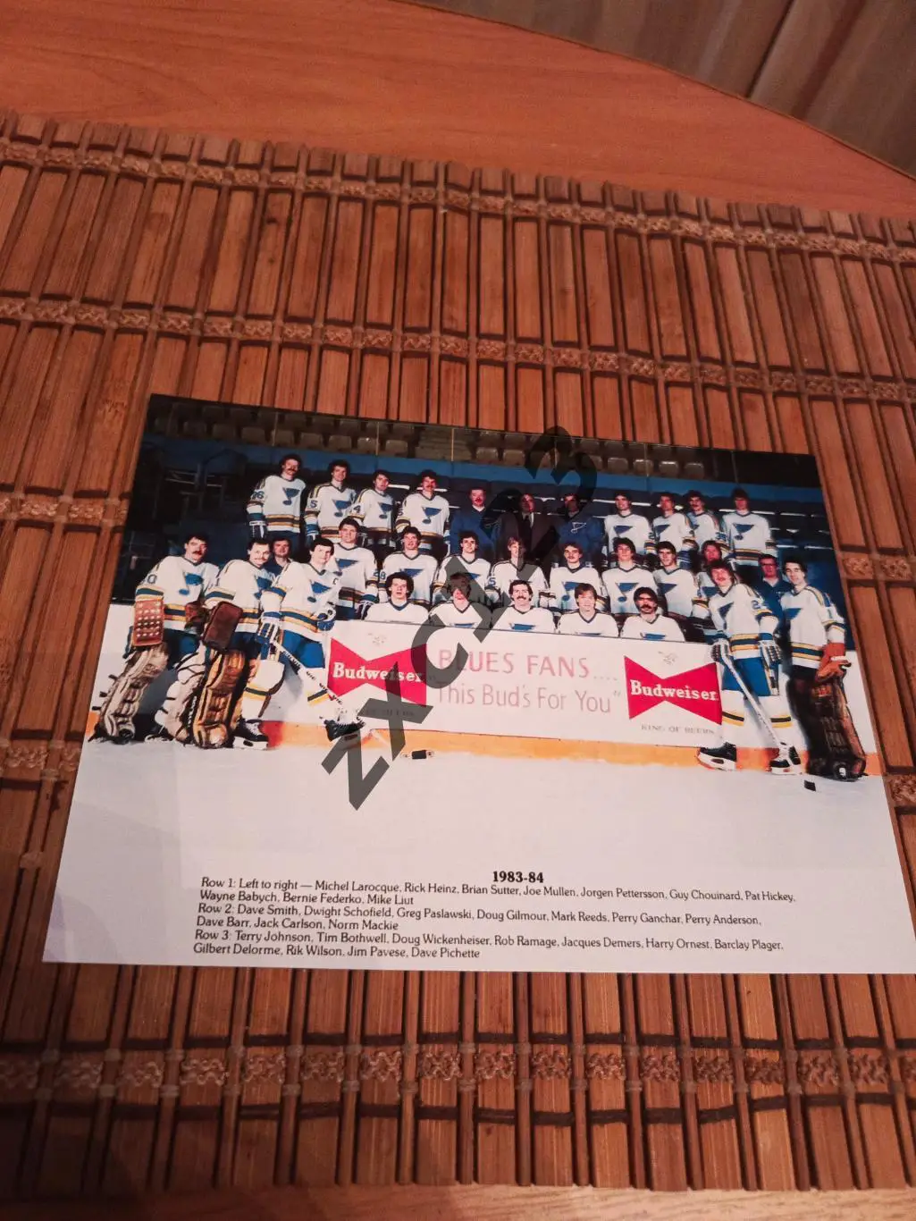 СЕНТ ЛУИС БЛЮЗ 1983/84