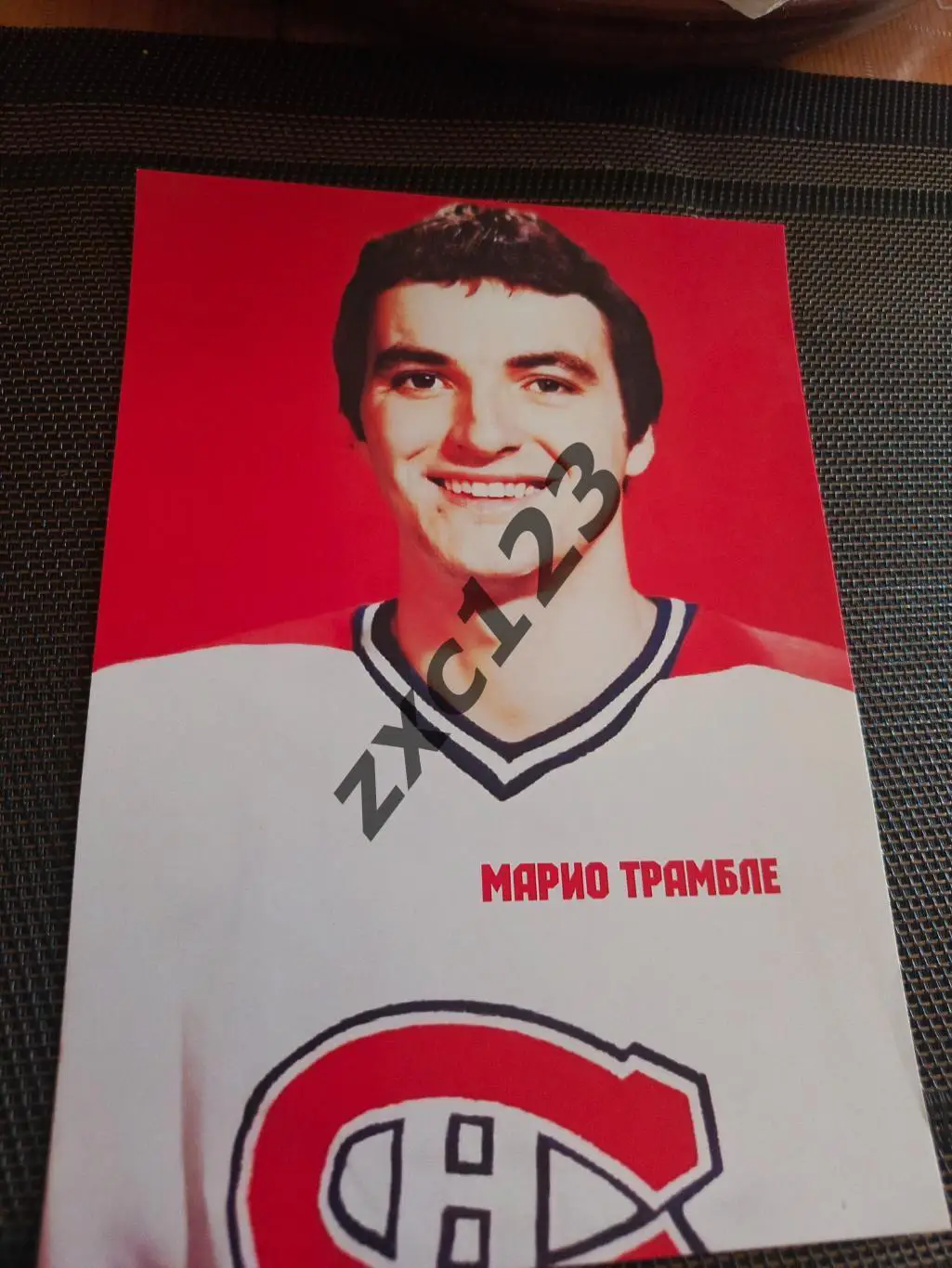 МАРИО ТРАМБЛЕ (МОНРЕАЛЬ КАНАДИЕНС)##