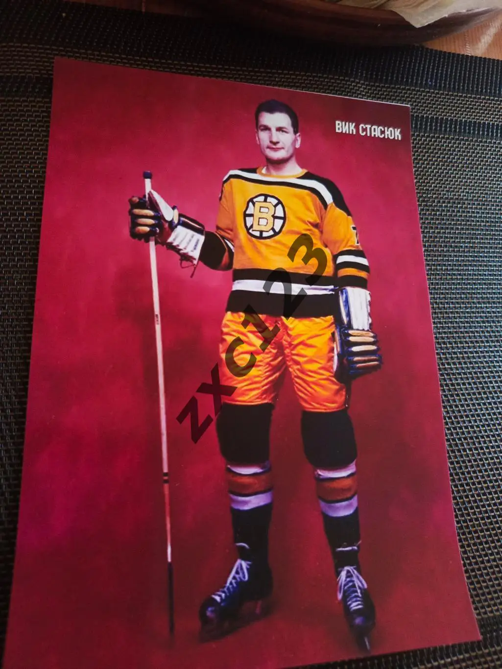 ВИК СТАСЮК (БОСТОН БРЮИНЗ)