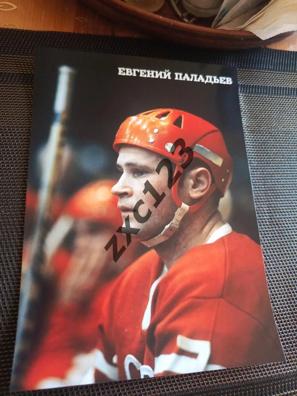 ЕВГЕНИЙ ПАЛАДЬЕВ (СССР)