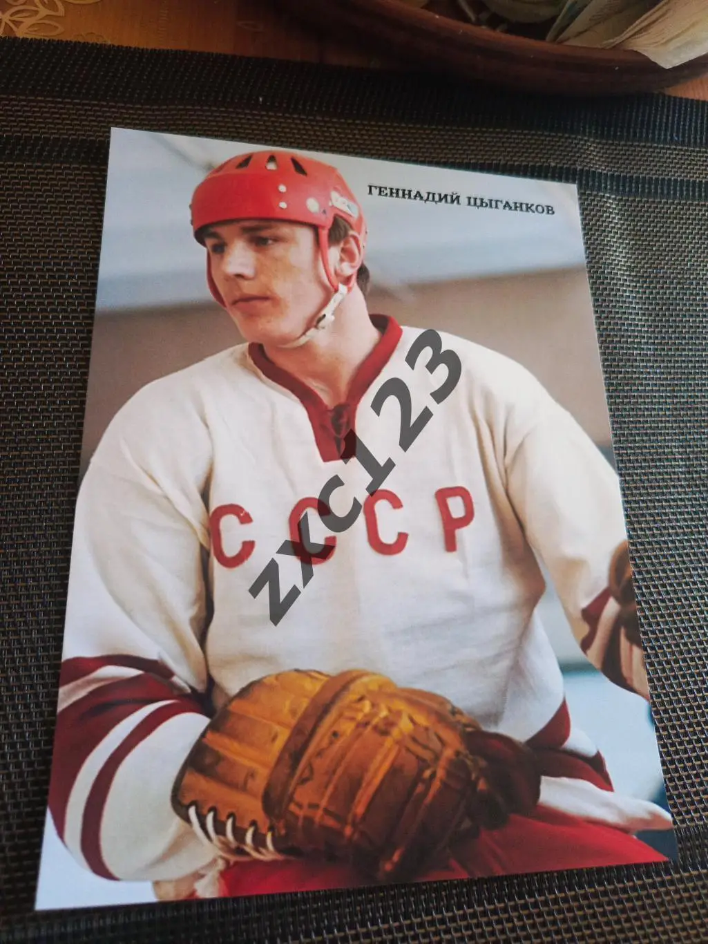 ГЕННАДИЙ ЦЫГАНКОВ (СССР)