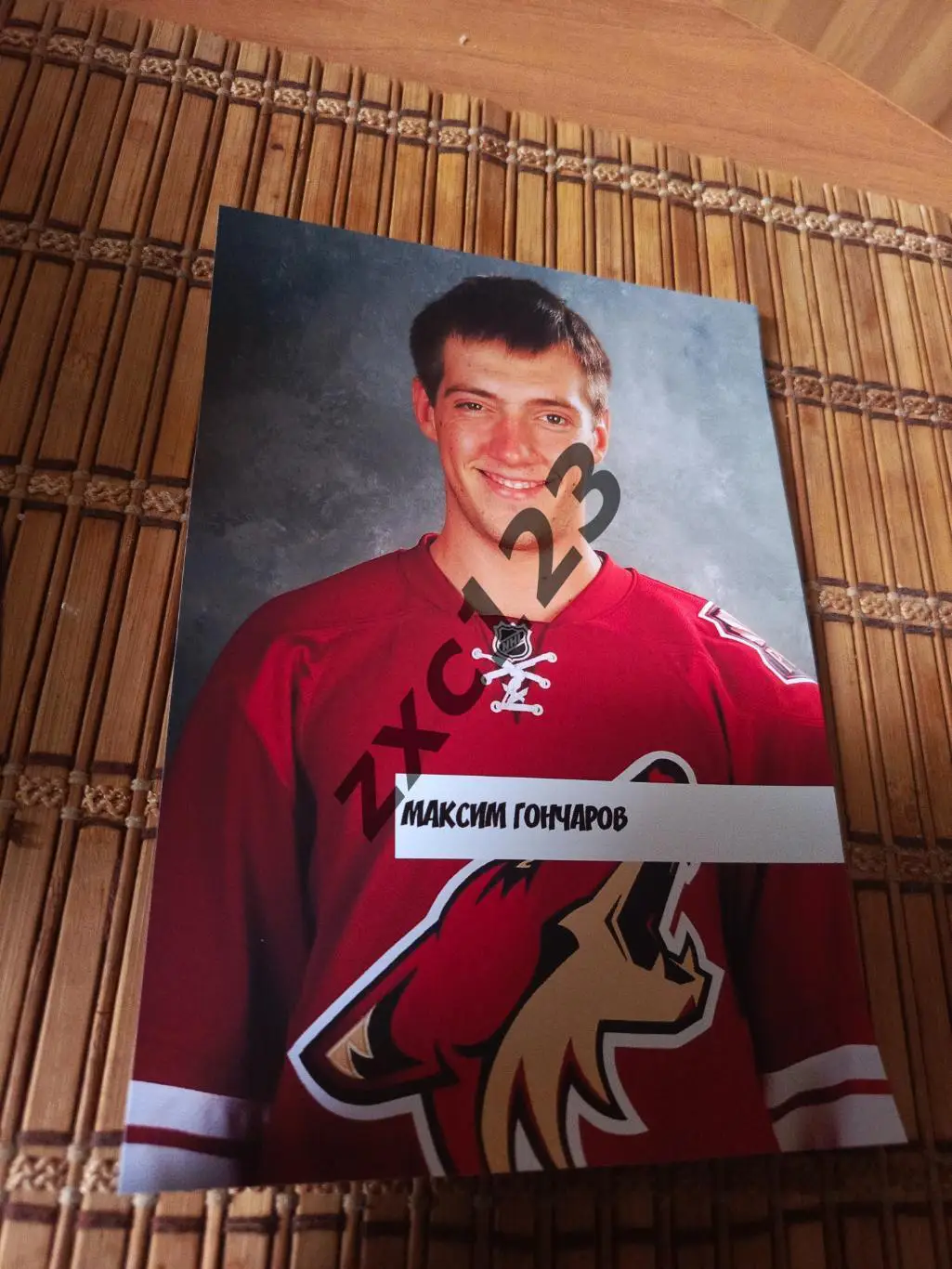 МАКСИМ ГОНЧАРОВ (ФИНИКС КОЙОТС)