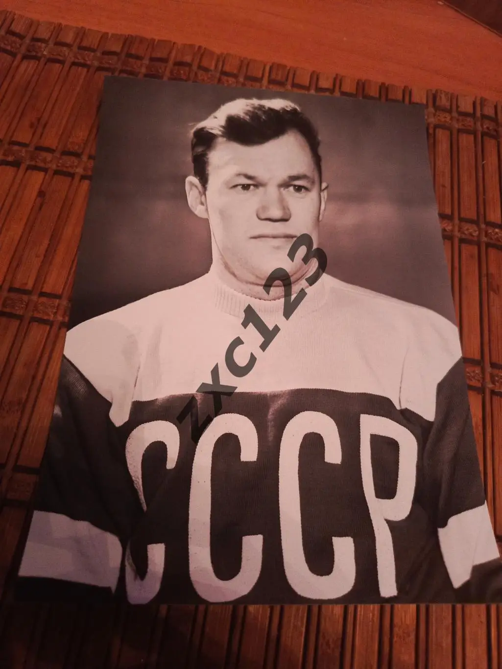 ВСЕВОЛОД БОБРОВ (СССР)