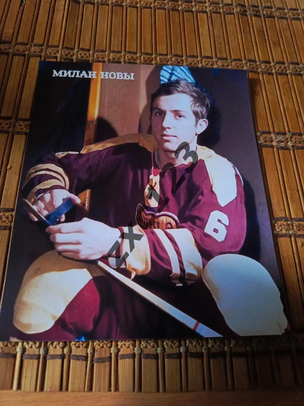 МИЛАН НОВЫЙ (ДУКЛА/ЧЕХОСЛОВАКИЯ)